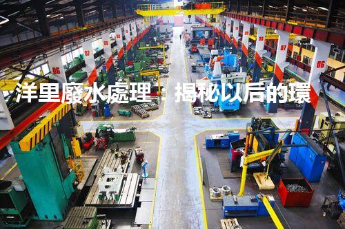 洋里廢水處理：揭秘以后的環(huán)保技術(shù)與挑戰(zhàn)？